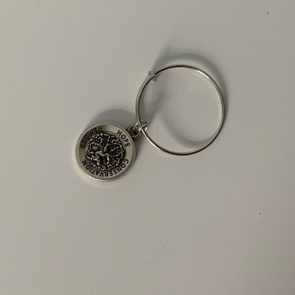 Alex and Ani Tree of Life Bracelet Charm